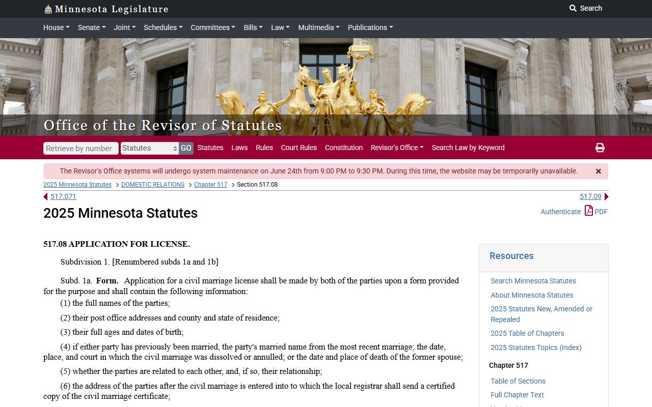 Minnesota marriage license application statute